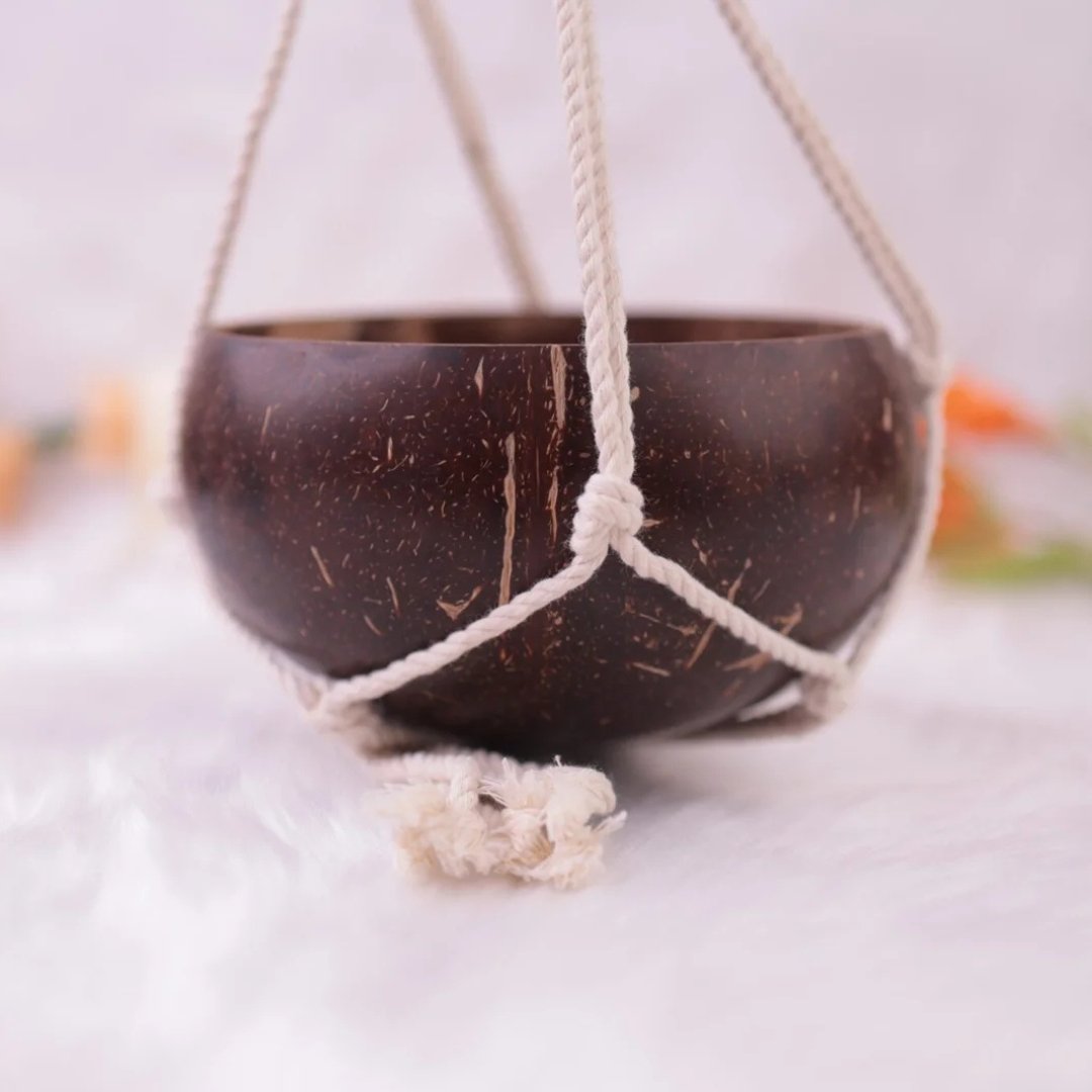 Hanging Planter